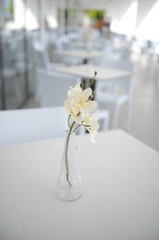Saint George Hotel ลาร์ดอส ภายนอก รูปภาพ